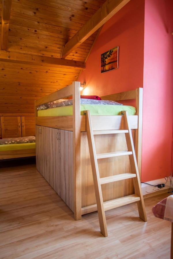 Penzion U Vichu Cervena Voda Luaran gambar